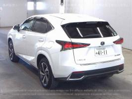 LEXUS NX NX300H VER-L 2019