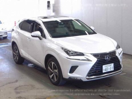 LEXUS NX NX300H VER-L 2019