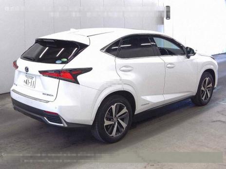 LEXUS NX NX300H VER-L 2019
