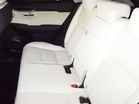 LEXUS NX NX300H VER-L 2019