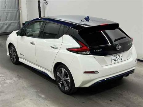 NISSAN LEAF X 10 MANDAIKINEN CAR 2018