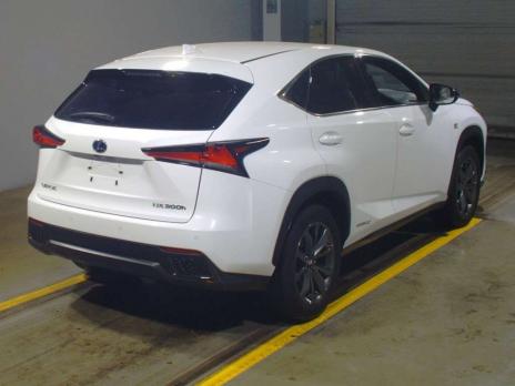 LEXUS NX NX300H F SPORT 2018