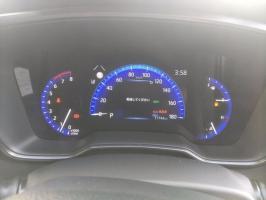 TOYOTA COROLLA WAGON WXB 2021
